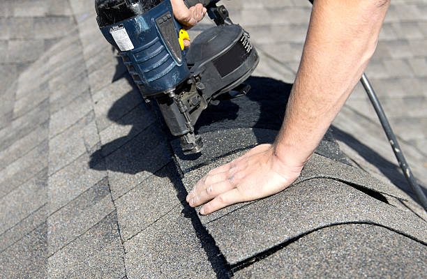 Best Roof Moss and Algae Removal  in St Georges, DE